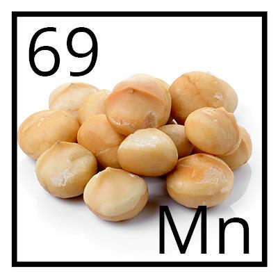Macadamia Nuts Although they are high in calories and fat, they are considered heart healthy. 82% of the fat in Macadamia nuts are monounsaturated. Check the serving size as to how many to eat.