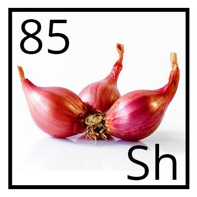 Shallots Shallots are less pungent than onions.
