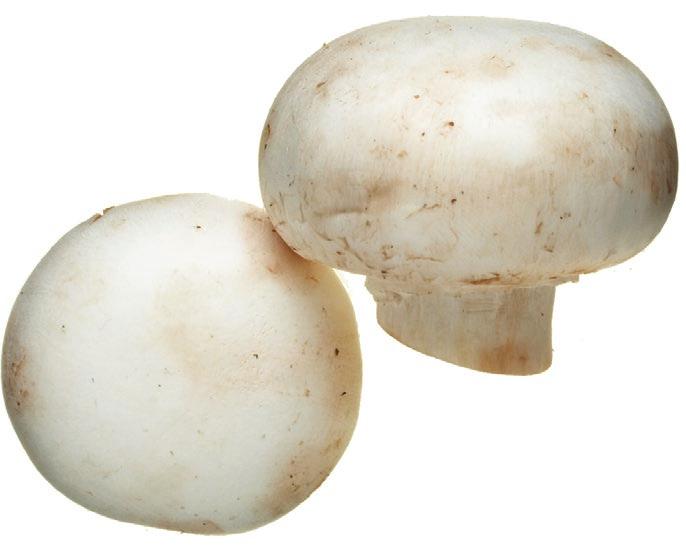 case provides 640 1/8 cups other vegetable 100 oz of cooked mushrooms produces about 50 oz of mushroom au jus