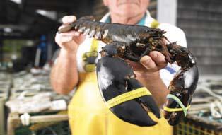 ) The poll also found that consumers are willing to pay more for sustainable seafood.