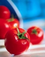Tomato-TRITION TPWC (Tomato Products