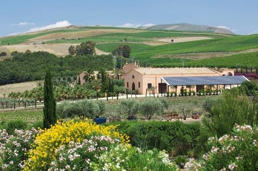 THE LAND Contessa Entellina - vineyards, olive groves and winery In the heart of western Sicily, where vines and olives are an integral part of the landscape, lie the Contessa Entellina vineyards,