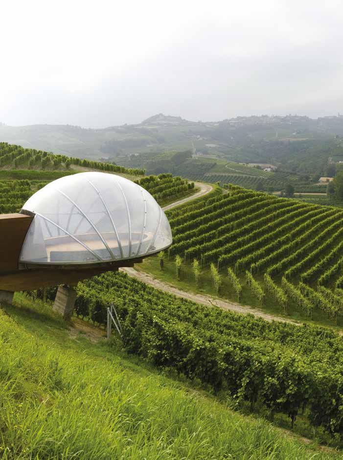 ARCHITECTURE The Grape Monsordo Bernardina Estate, Alba, 2009 This project was completed in 2009, and reflects the Ceretto spirit, perfectly poised between tradition and innovation.