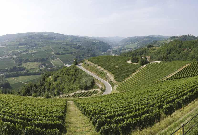 The company makes exclusively the 2 Barbaresco cru of the family, Asili in the commune of Barbaresco and Bernardot in Treiso.