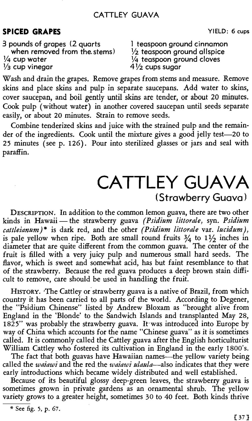 SPICED GRAPES CATILEY GUAVA YIELD: 6 cups 3 pounds of grapes (2 quarts 1 teaspoon ground cinnamon when removed from the.