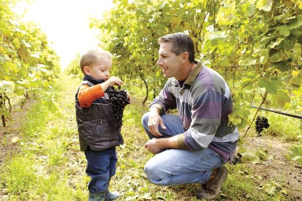 Passion in Our People From the grape growing and winemaking pioneers of the 1970s to the rising stars of today, the Ontario wine industry works together to make world-class wines that can only come