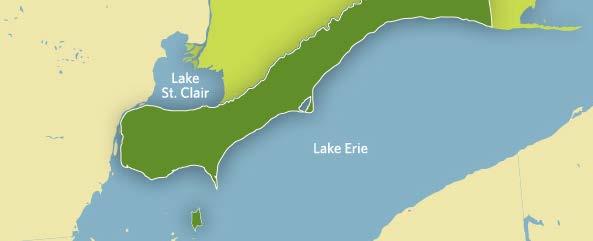 r Lake Erie North Shore Stretching along the warm, shallow waters of Lake Erie, this southerly appellation affords its vines the most sunshine in Ontario, providing excellent ripening conditions for