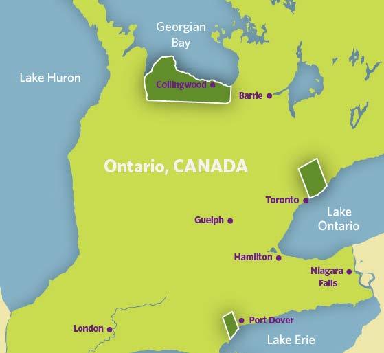 Emerging Wine Regions Just 40 years ago Niagara Peninsula and Lake Erie North Shore were considered barely capable of growing fine vinifera wine, and Prince Edward County less than 15 years ago.