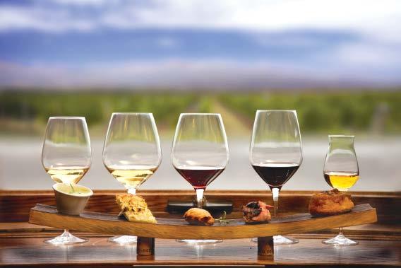 Wines of Origin Taste the Place With the understanding of the region and growth of fine wine production, local wine has gained an important place in Ontario s cultural landscape, and wines that have