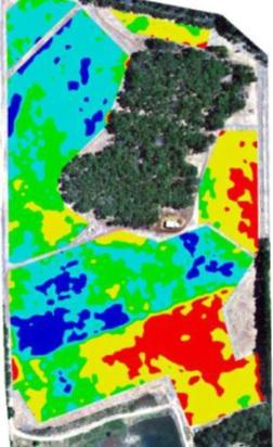 Precision Viticulture Plant cell density maps have proved very useful.