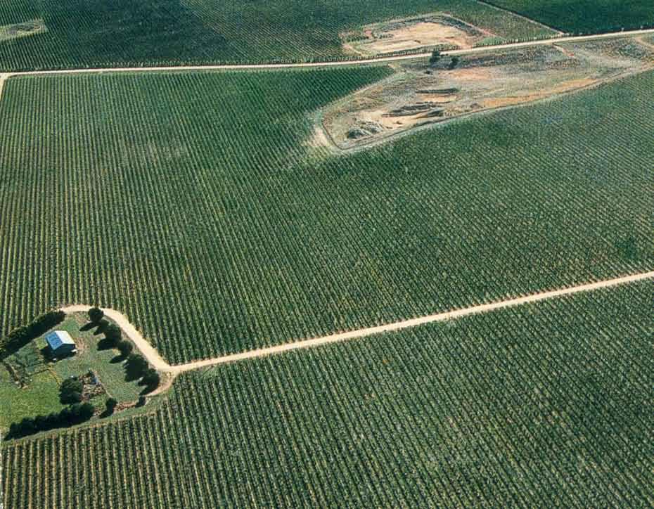 Aerial view showing work area and quarry. 7 YEAR TONNAGE HISTORY Area intage 2004 intage 2005 intage 2006* intage 2007** intage 2008 intage 2009 intage 2010 Average over 7 intages ariety Ha Shiraz 19.