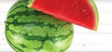 15 Average Whole Seedless 499 WATERMELONS DANBURY, Click CT. - 99 Federal Rd.