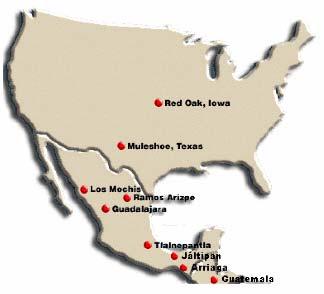 Typical Plant Sizes Red Oak 24,000 metric tons/yr Muleshoe 86,400 metric tons/yr Mexican Plants