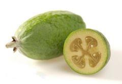 Pineapple Guava Acca sellowiana Evergreen Shrub 5-10 6-10 Soil: Well-drained