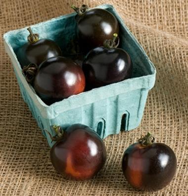 Cherry Tomato Solanum lycopersicum Indigo Rose Light: Sun Soil: Well-drained Days to Maturity: 75 Indeterminate variety, keeps producing all summer