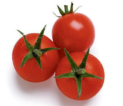 'Sweet 100' Cherry Tomato Solanum lycopersicum