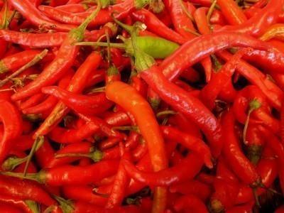 Pepper, Cayenne Capsicum annuum longum Annual - Vegetable - Early Summer - Frost 1-3 1-2 Soil: Well-drained loamy or sandy
