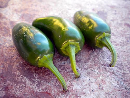 consistently moist The most popular chile pepper in the United States!