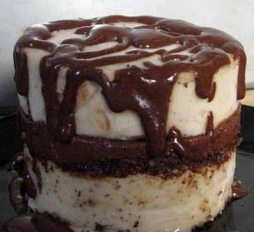 Banana Chocolate Ice Cream Cake 2 bananas cut into pieces and frozen 2 tablespoons almond or any nut milk Freeze a cookie sheet, small tray, or large plate (this helps stop the mixture from seeping