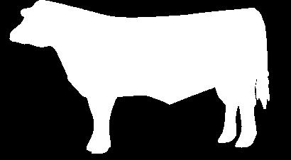 Make a poster telling a story of beef and/or beef products using a catchy title.