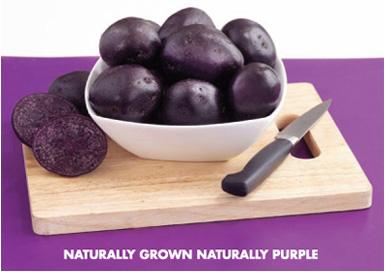 The Purple Majesty: One Hot Potato http://www.albert- bartlett.co.uk/products/cooking_with_purple_majesty There s a legend about the introduction of the potato to the U.S.