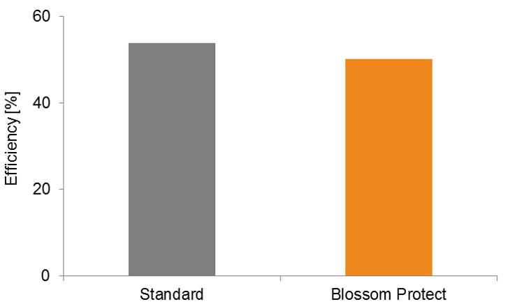 Efficacy against storage diseases Since 2002, several field trials with Blossom Protect were carried out in apple and pear in numerous European