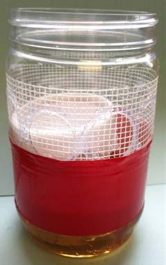soap Alternative: use fermenting bait