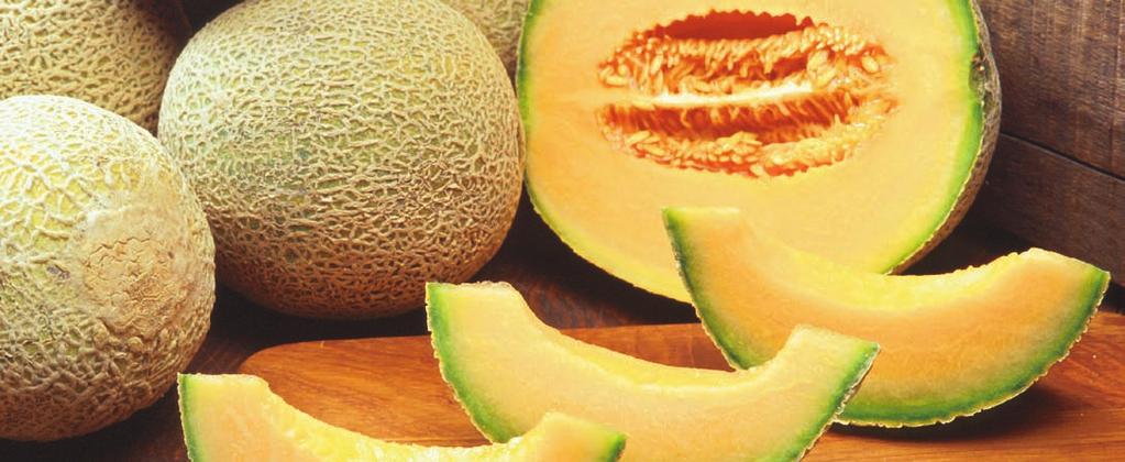 Kinds of There are two kinds of melons: muskmelons and watermelons. Some muskmelons, like cantaloupes, have rough skins. Other muskmelons, like honeydews, have smooth skins.