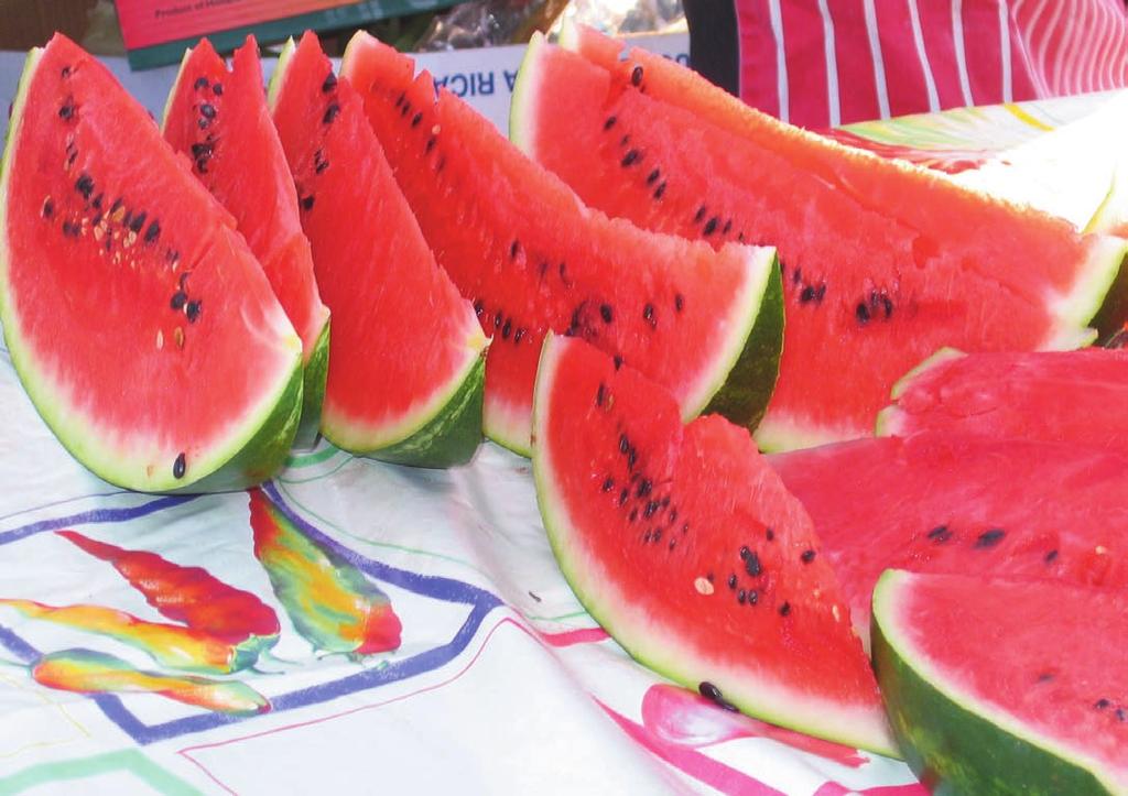 Fun with A slice of watermelon on a summer day is a favorite snack for many Americans. Watermelons usually weigh between 15 and 35 pounds.