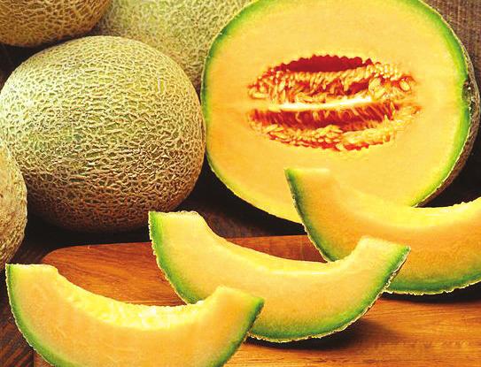 C A N TA L O U P E Choose those fruits with a sweet smell. If melon is not ripe when purchased, store at room temperature for 1-2 days.