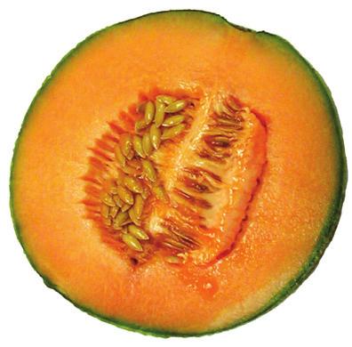 For 48 samples, prepare 24 sample size twice. 2. Cut melon in half. Scoop out seeds, remove rind and discard. 3. Cut melon into 1-inch cubes. 4. Use a blender, food processor, or hand mixer to blend the melon cubes with ½ cup orange juice until smooth.