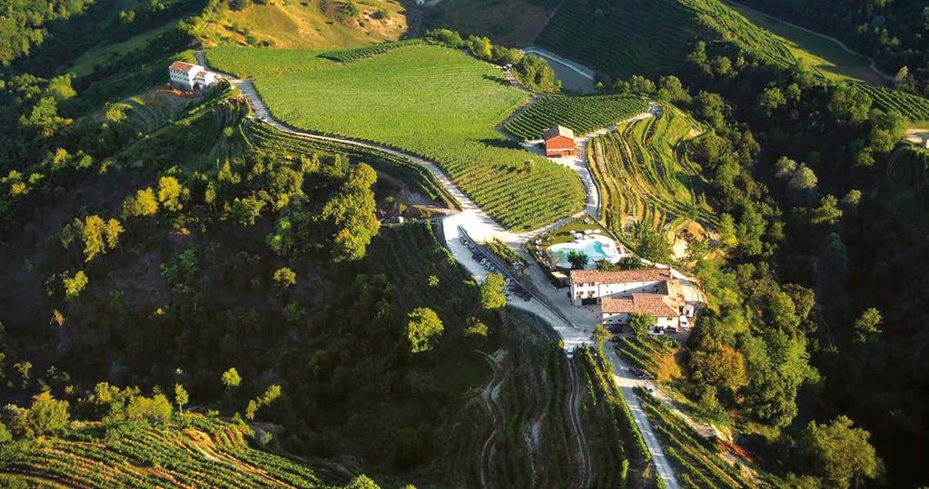 THE ESTATE Duca di Dolle Estate, an oasis of peace and nature immersed in the green wood and in the silence of the vineyards, is located in Rolle di Cison di Valmarino, in the heart of the Prosecco