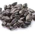 Black Sunflower Seeds, Baked without Salt Orlando s Sunflower seeds are a source of mood and energy.