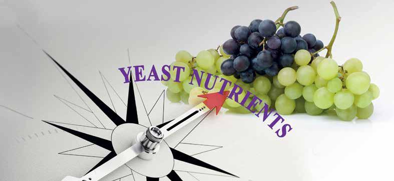 APPLICATION REPORT Yeast nutrients Can nitrogen in the form of ammonium work? Author: Dr.