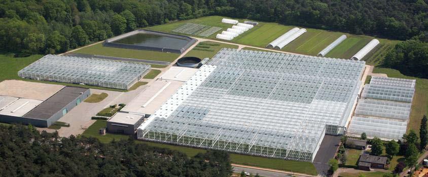 Diffuse glass at RCH Pepper research: 5,000 m², 7