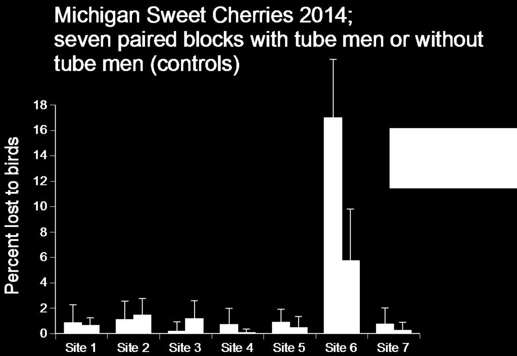 The actual numbers of fruit lost to birds were relatively constant in six Michigan sweet cherry orchards we sampled in 2012-2014 (Table 1, columns 2-4).