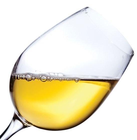 TASTING White Wines Insert your white wine Tasting Tips here.