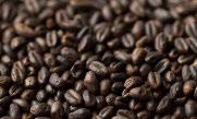 Roasted Barley adds a lovely rich roast flavour and dark espresso like flavours to brewed beer. Like all roasted malts, it should be used fresh to get the best out of it.