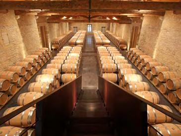 6 Taste and visit TASTINGS AND VISITS Our Sommelier suggests TASTING AND VISIT 5 Blind tasting!