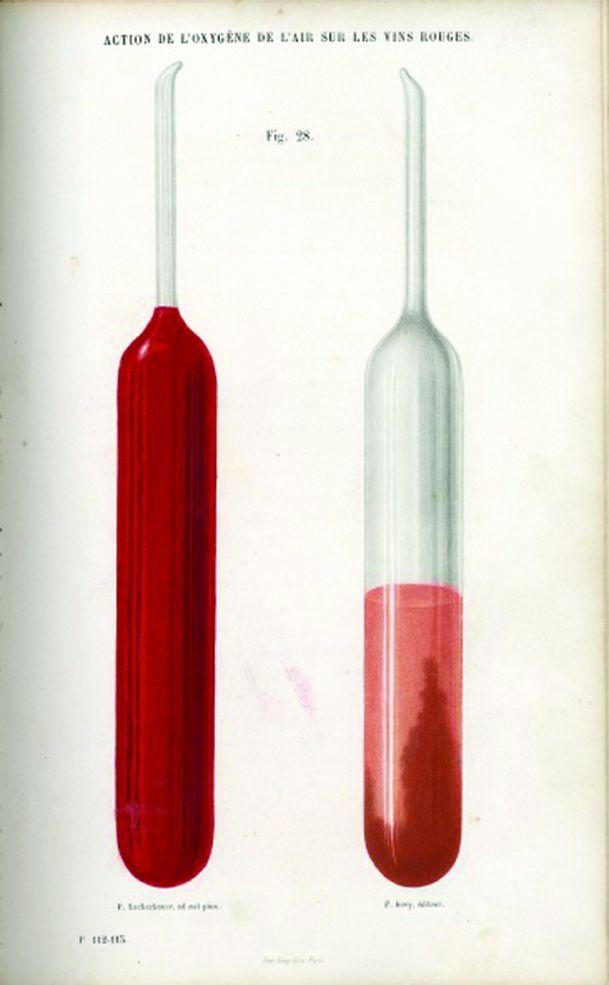 Figure 1. Image from Pasteur s experiment. See Reference (1). Others have commented on the effect of oxidation as well.