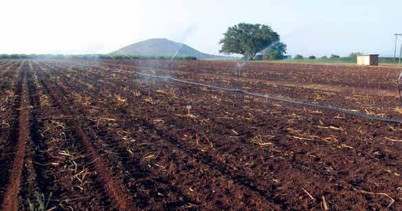 RIGLYNE VIR DIE KEUSE EN GEBRUIK VAN SPRINKELAARS In brief Sprinkler irrigation is suitable for most crops, soils and topography of a field.