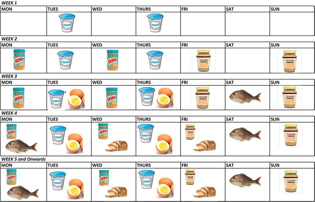 Food Introduction Schedule 1 st : Cow s milk Randomized to [Egg, Peanut,