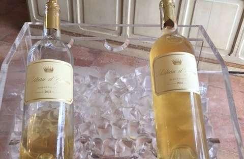 Thursday April 6th Pessac Leognan, Medoc, Haut Medoc and Sauternes On our return to Bordeaux we were fortunate to have an invitation to the launch of the 2016 vintage of Chateau d Yquem, Sauternes,