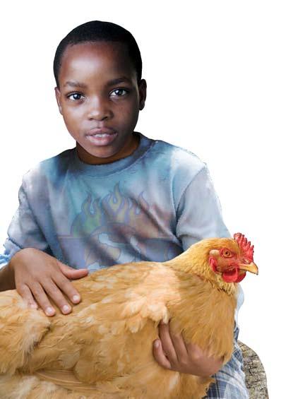 THE EGGS FACTOR You might be wondering whether a chicken can make that much difference. Well, here s a little story that shows it can The Hope Community Centre in Kenya is home for over 200 children.