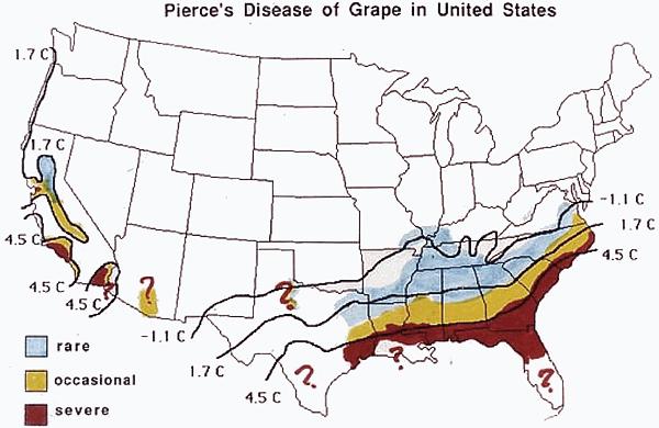 Pierce's Disease in Other Eastern U.S.