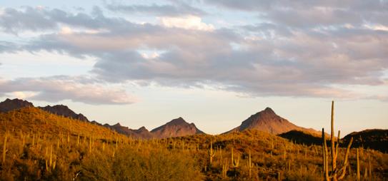 PRIVATE & CORPORATE EVENTS Nothing compares to the natural beauty of the Sonoran