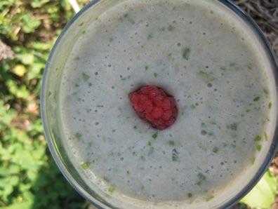 This smoothie contains 128 calories, 28 g carbs, 6 g fibre, 2 g protein, and 2 g fat.