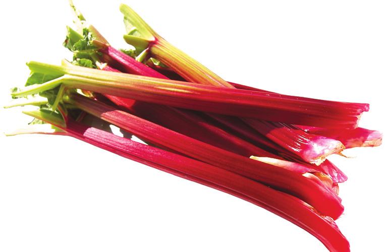 RHUBARB Select firm, red stalks; usually those that are deep red are sweeter and richer, green stalks may be sour.