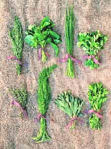 Drying Herbs Rinse, shake off moisture; allow moisture to