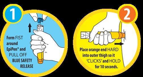 How to use an epi pen/auto injector Epi Pen Remove blue safety release by pulling straight up